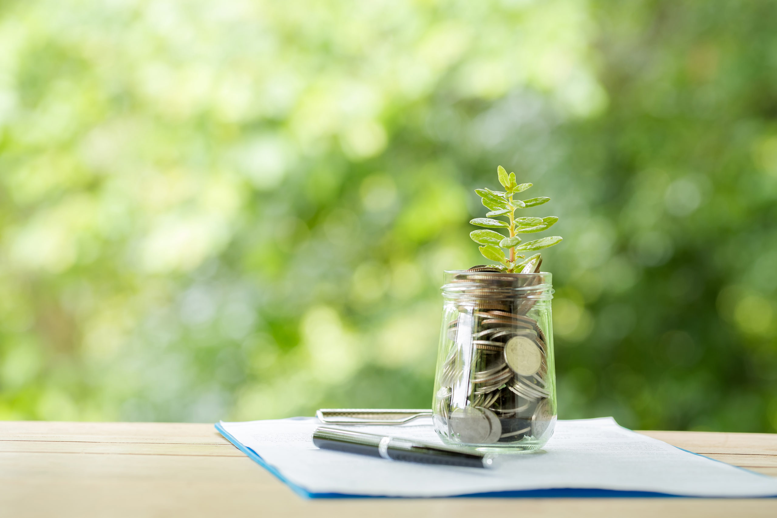 plant-growing-from-coins-glass-jar-blurred-nature-scaled